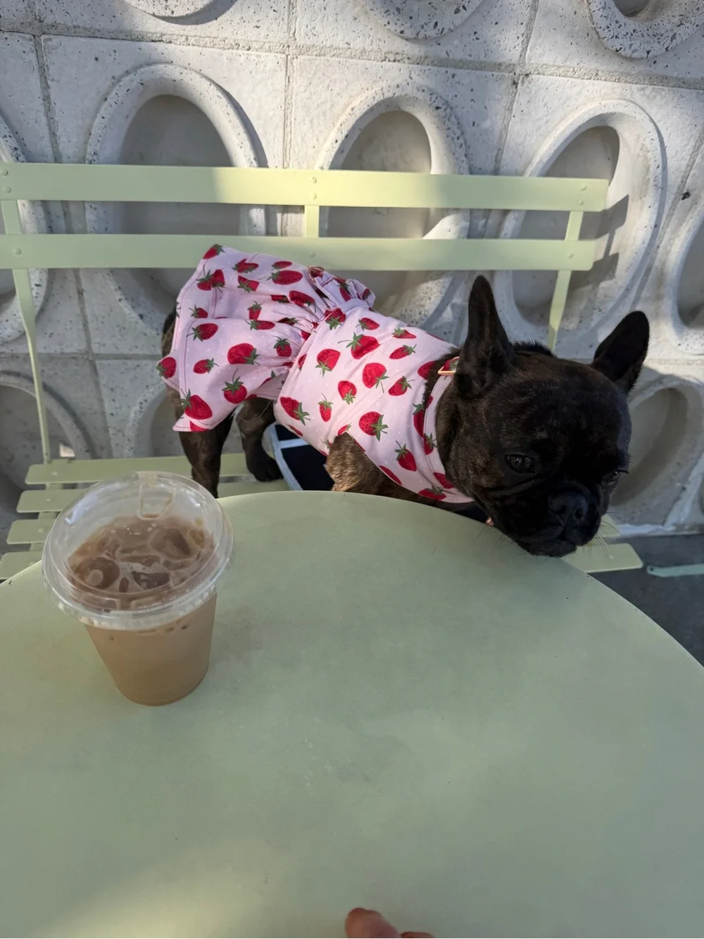 Handmade Strawberry Print Pink Dog Dress